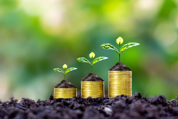 Plants are planted on coin stacks indicating financial growth